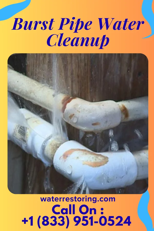 Burst Pipe Water Cleanup in Toccopola, MS